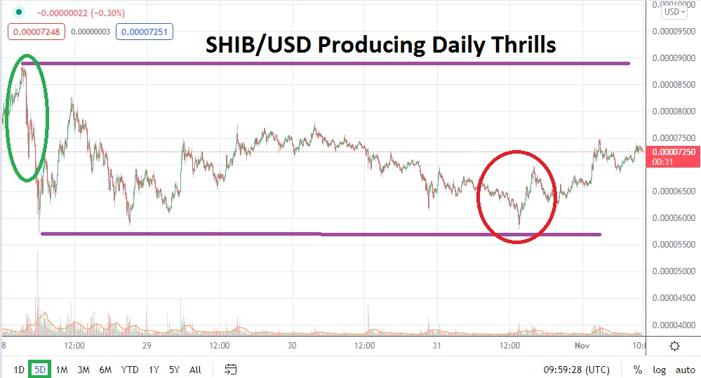 SHIB/USD SHIB/USD