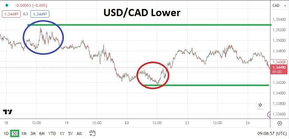 NZD/USD Hoy: Análisis 24/01 Gráfico | DailyForex.com