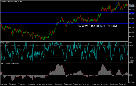 Análisis Técnico del USD/JPY Análisis Técnico del USD/JPY