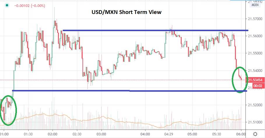 الرسم البياني اليومي لزوج الدولار الأمريكيالبيزو المكسيكي الرسم البياني اليومي لزوج الدولار الأمريكيالبيزو المكسيكي