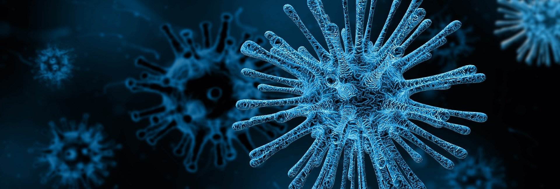 La lucha del mercado continúa mientras aumenta el número de muertes por el Coronavirus La lucha del mercado continúa mientras aumenta el número de muertes por el Coronavirus