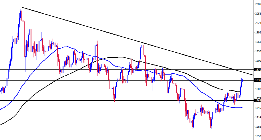 الرسم البياني اليومي للذهب الرسم البياني اليومي للذهب