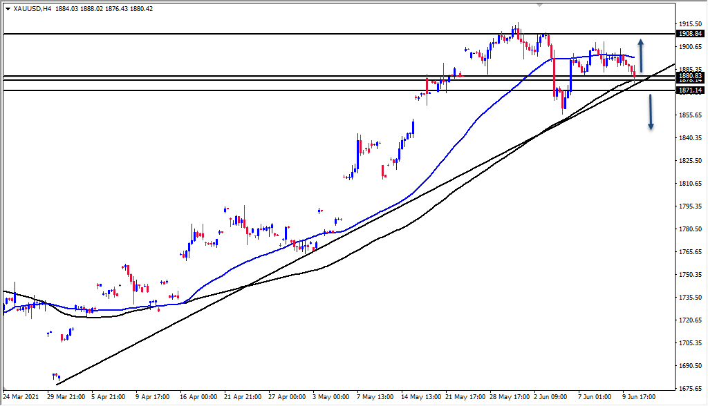 الرسم البياني اليومي للذهب الرسم البياني اليومي للذهب