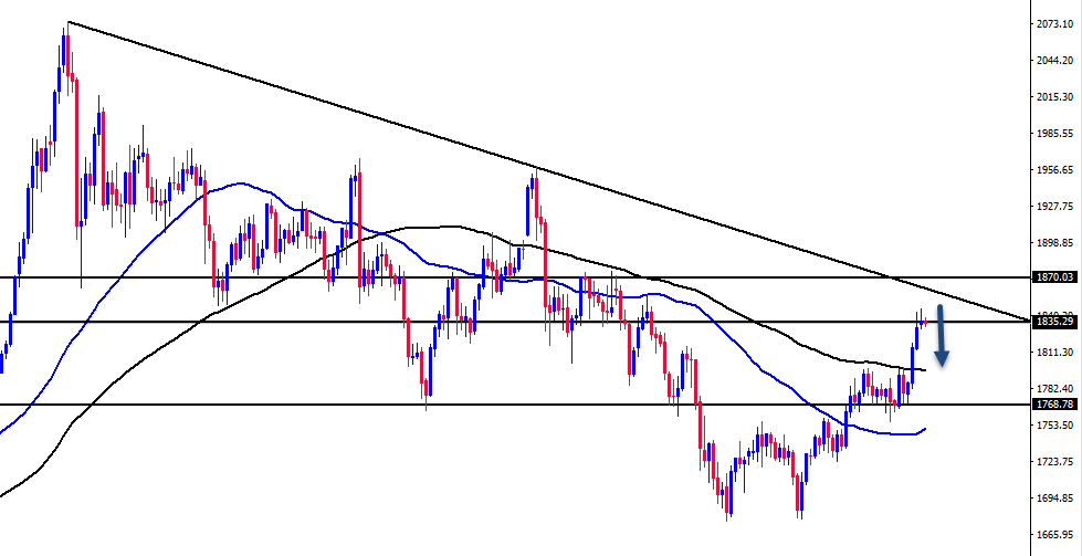 الرسم البياني اليومي للذهب الرسم البياني اليومي للذهب