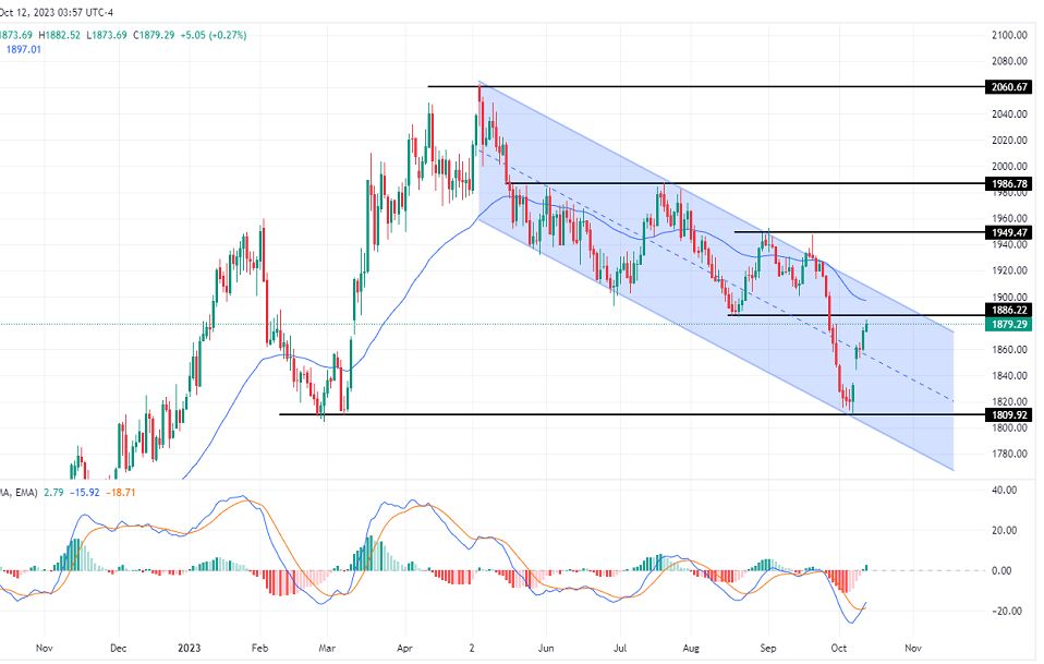 الرسم البياني لتحليل الذهب اليوم على الإطار الزمني لليوم الرسم البياني لتحليل الذهب اليوم على الإطار الزمني لليوم