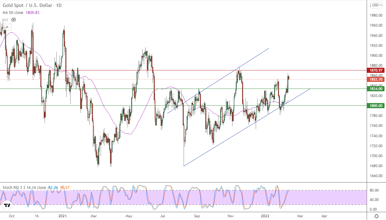 الرسم البياني اليومي للذهب الرسم البياني اليومي للذهب