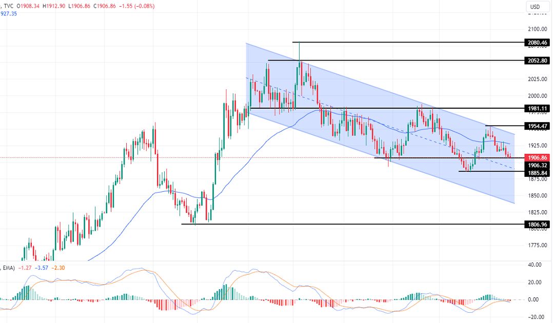 الرسم البياني اليومي للذهب الرسم البياني اليومي للذهب