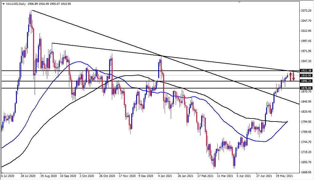 الرسم البياني اليومي للذهب الرسم البياني اليومي للذهب