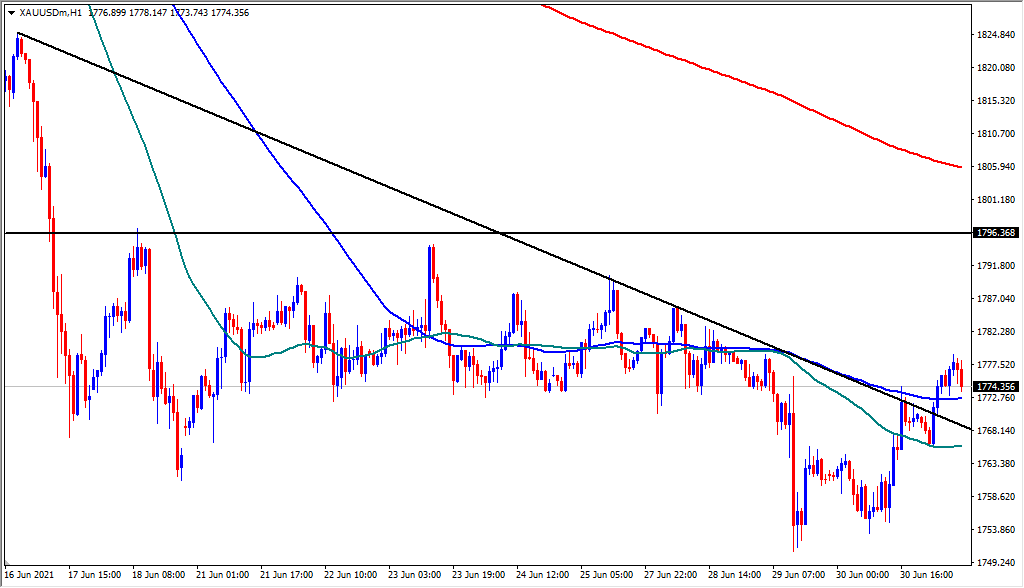 الرسم البياني اليومي للذهب الرسم البياني اليومي للذهب