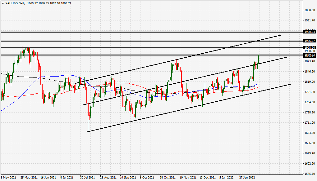 الرسم البياني اليومي للذهب