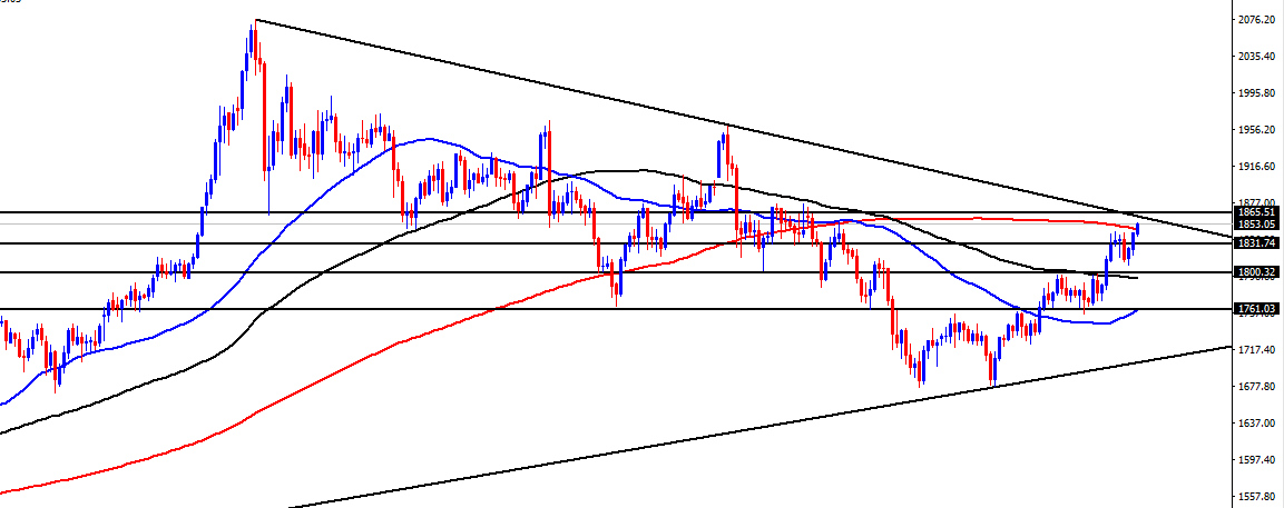 الرسم البياني اليومي للذهب الرسم البياني اليومي للذهب