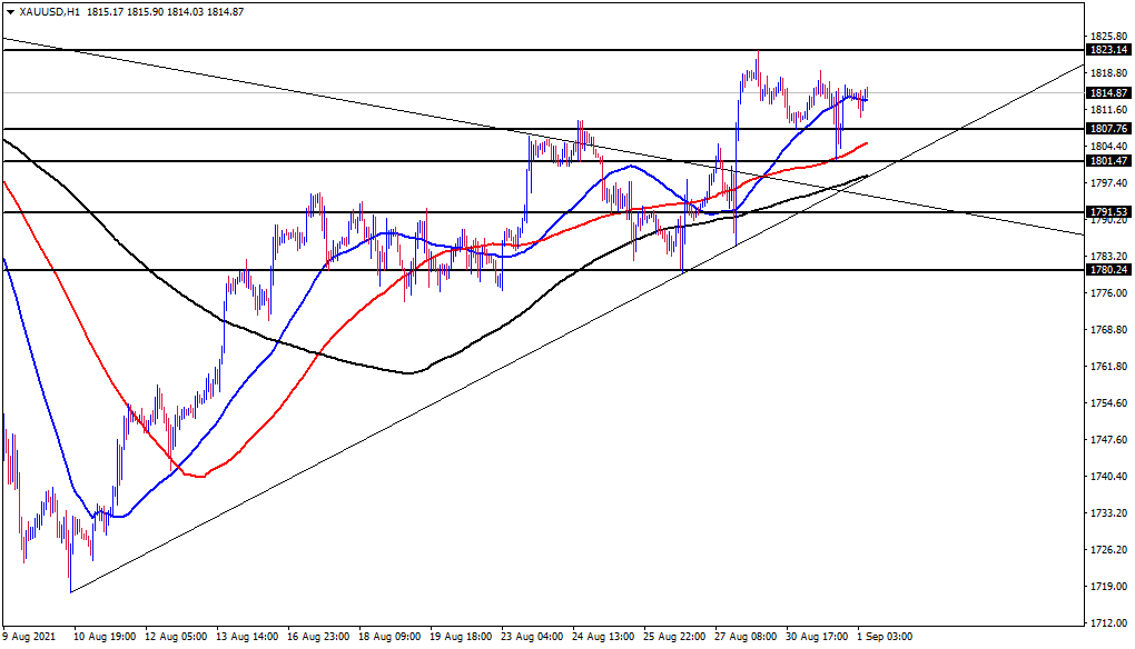 الرسم البياني اليومي للذهب الرسم البياني اليومي للذهب