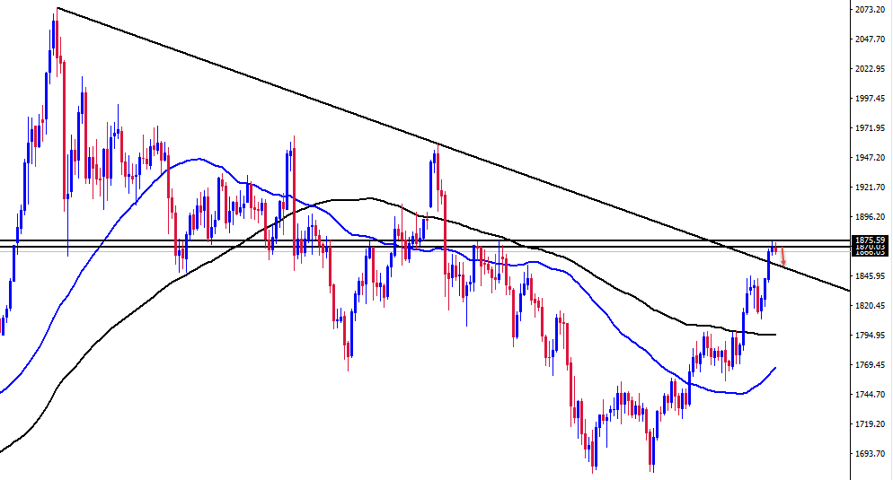 الرسم البياني اليومي للذهب الرسم البياني اليومي للذهب