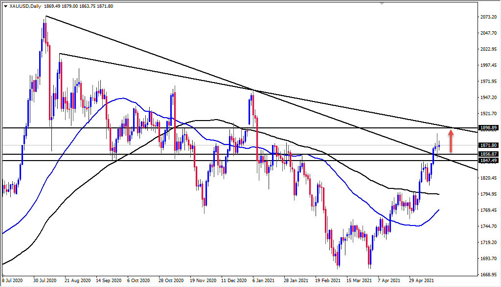 الرسم البياني اليومي للذهب الرسم البياني اليومي للذهب