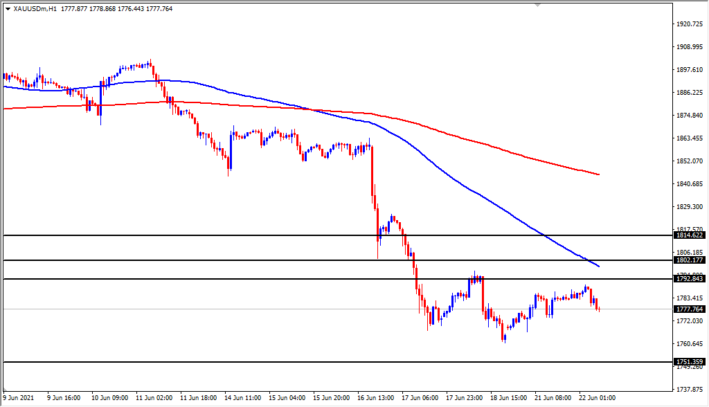 الرسم البياني اليومي للذهب الرسم البياني اليومي للذهب
