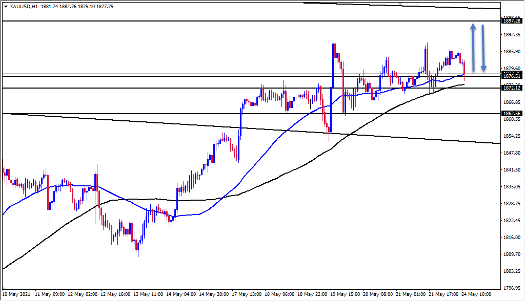 الرسم البياني اليومي للذهب الرسم البياني اليومي للذهب