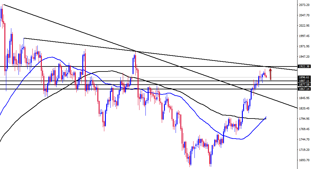 الرسم البياني اليومي للذهب الرسم البياني اليومي للذهب