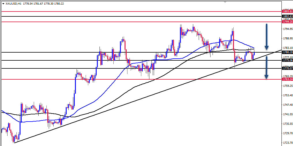 الرسم البياني اليومي للذهب الرسم البياني اليومي للذهب