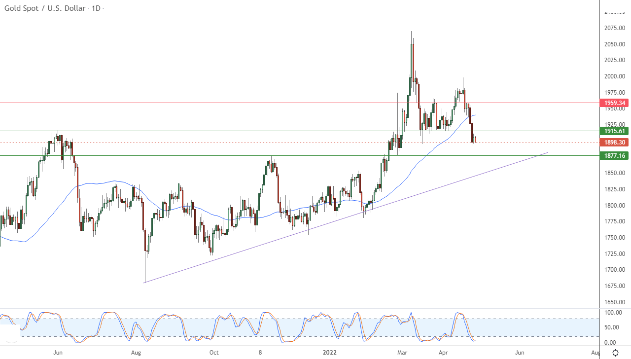 الرسم البياني اليومي للذهب الرسم البياني اليومي للذهب