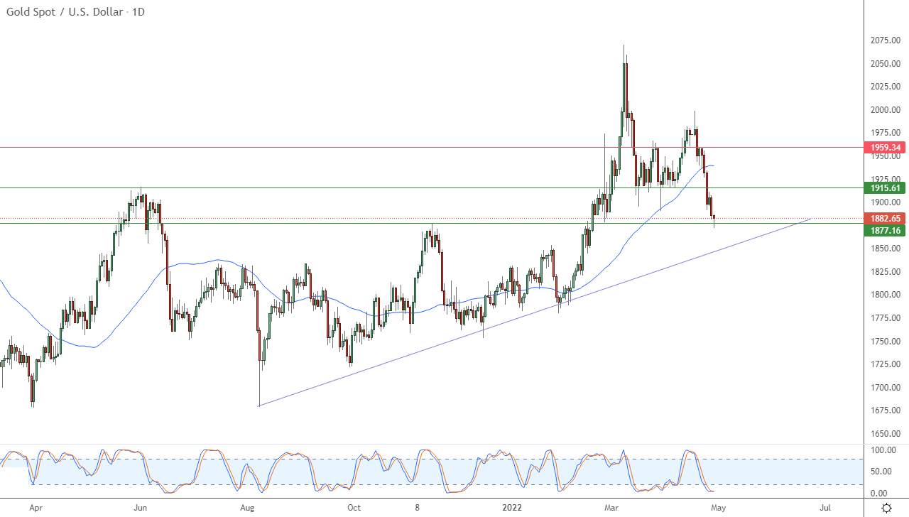 الرسم البياني اليومي للذهب