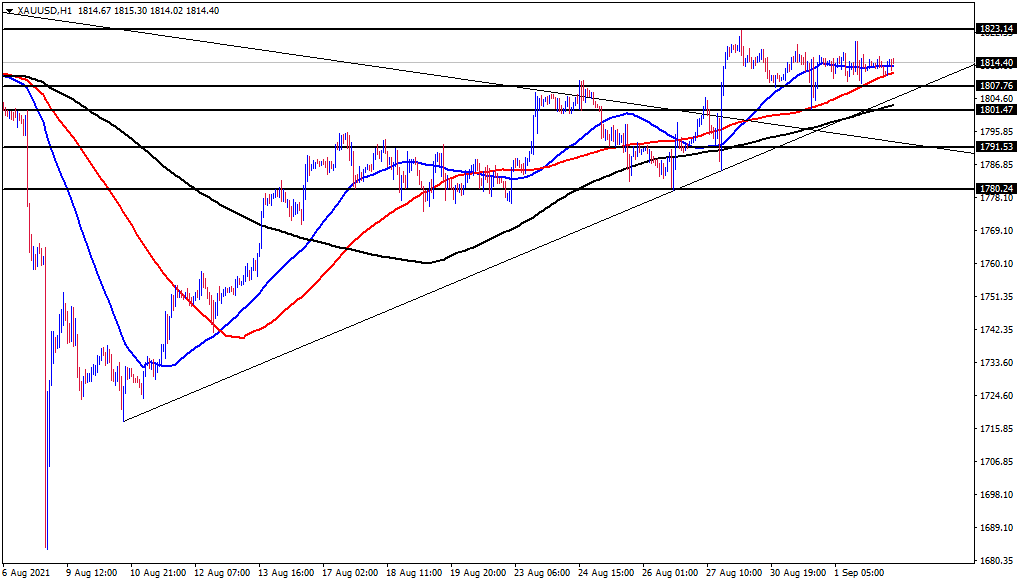 الرسم البياني اليومي للذهب الرسم البياني اليومي للذهب