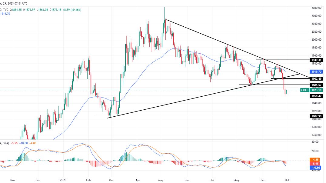 الرسم البياني لتحليل الذهب اليوم على الإطار الزمني لليوم الرسم البياني لتحليل الذهب اليوم على الإطار الزمني لليوم