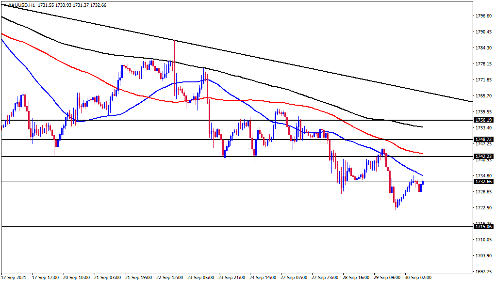 الرسم البياني اليومي للذهب