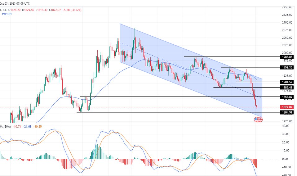 الرسم البياني لتحليل الذهب اليوم على الإطار الزمني لليوم الرسم البياني لتحليل الذهب اليوم على الإطار الزمني لليوم