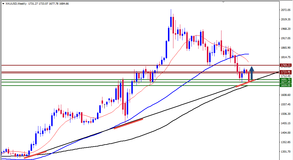 الرسم البياني اليومي للذهب الرسم البياني اليومي للذهب