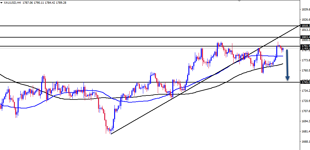 الرسم البياني اليومي للذهب الرسم البياني اليومي للذهب