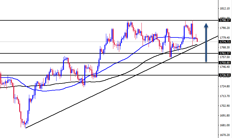 الرسم البياني اليومي للذهب الرسم البياني اليومي للذهب