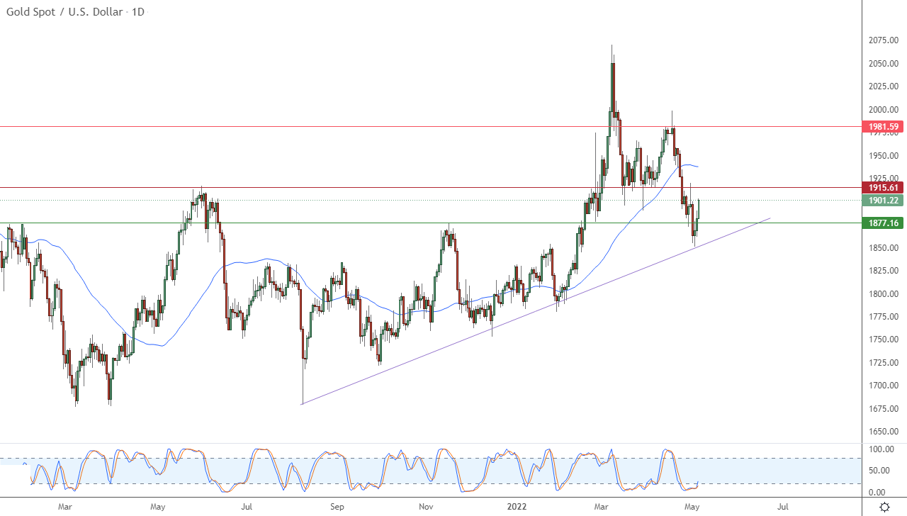 الرسم البياني اليومي للذهب الرسم البياني اليومي للذهب