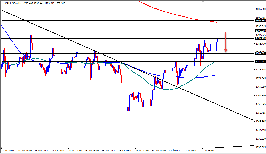 الرسم البياني اليومي للذهب الرسم البياني اليومي للذهب
