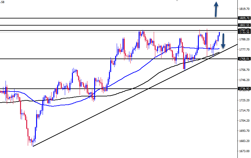 الرسم البياني اليومي للذهب الرسم البياني اليومي للذهب