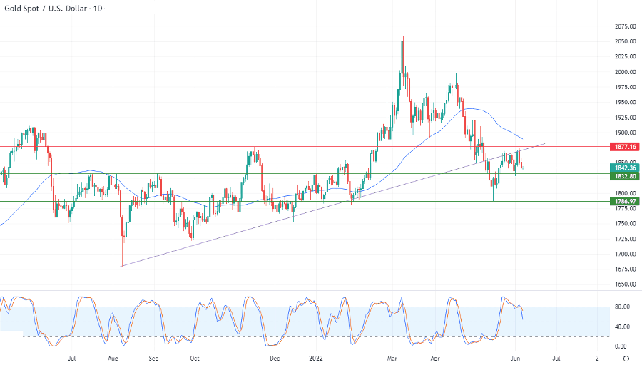 الرسم البياني اليومي للذهب الرسم البياني اليومي للذهب