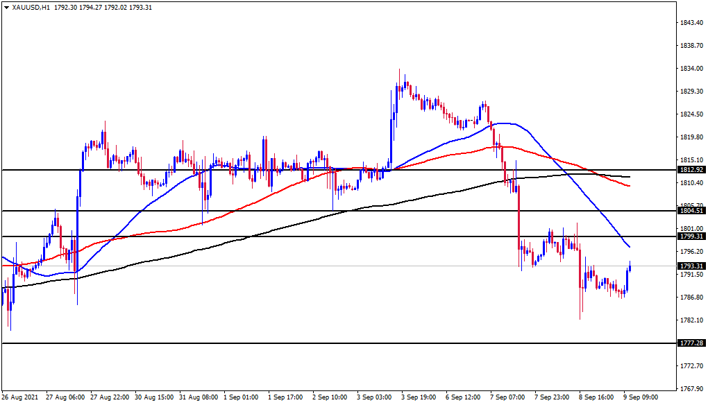 الرسم البياني اليومي للذهب الرسم البياني اليومي للذهب