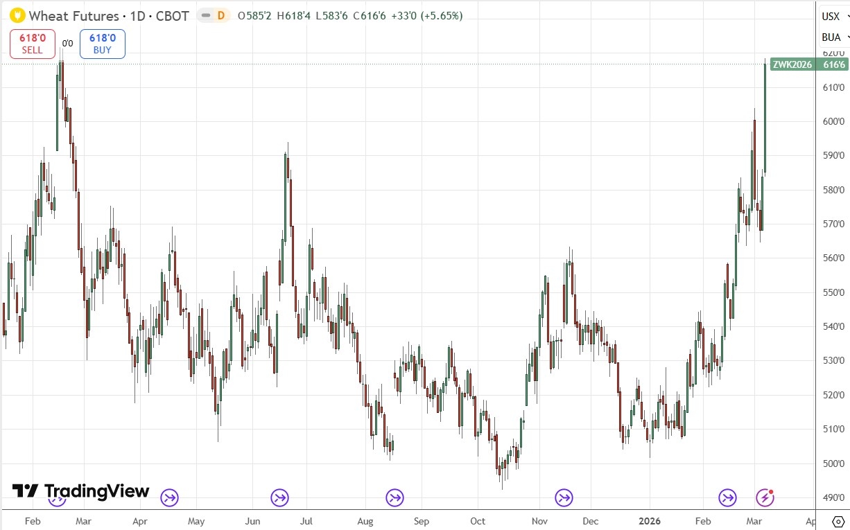Wheat Daily Price Chart 08/03/2026 Wheat Daily Price Chart 08/03/2026