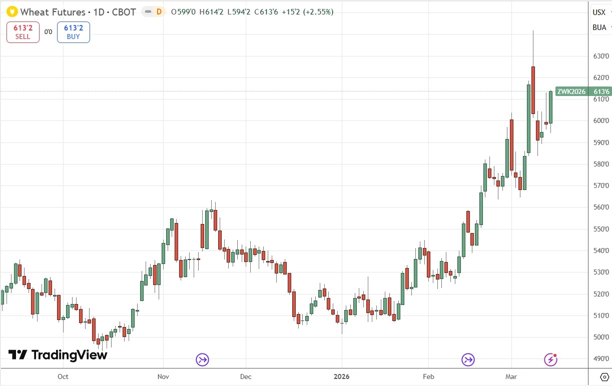 Wheat Futures Daily Price Chart 15/03/2026 Wheat Futures Daily Price Chart 15/03/2026