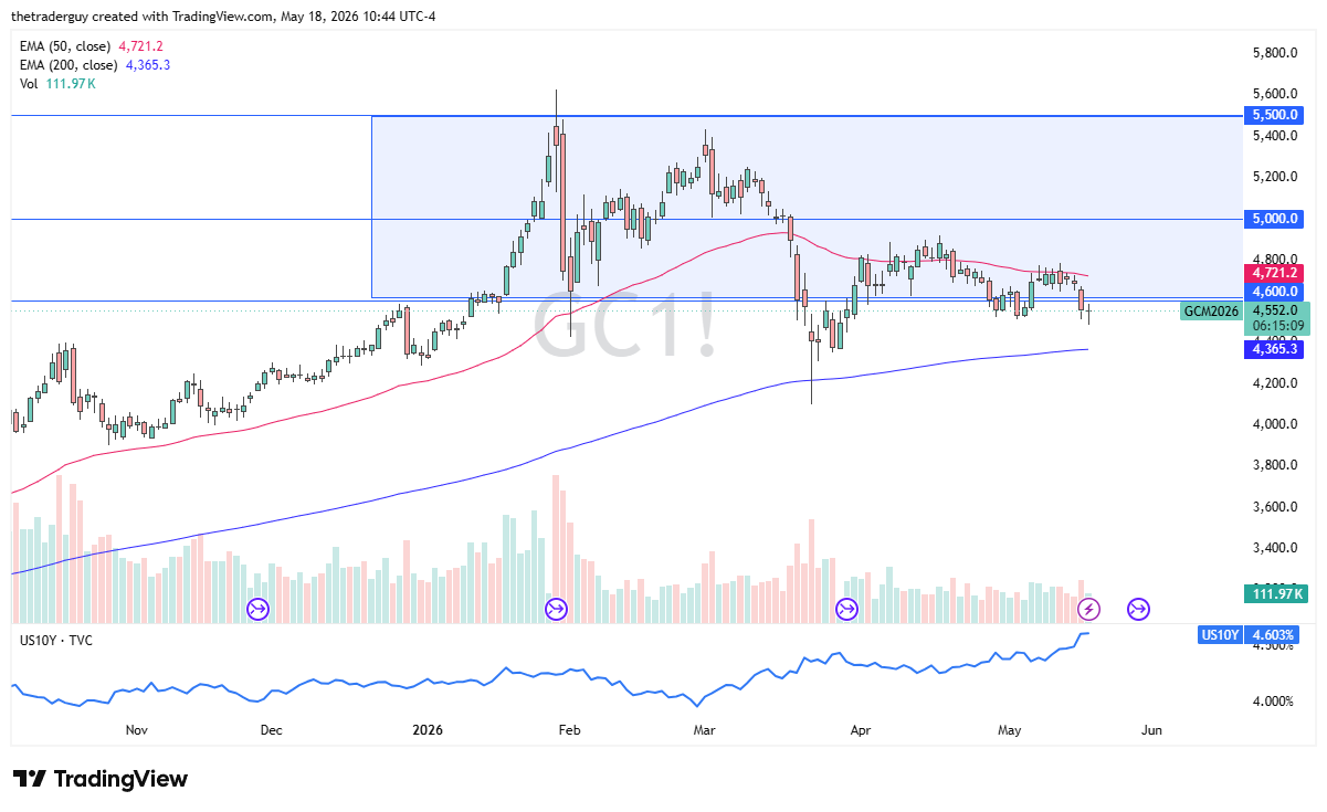 Gold Forecast Today 19/05: $4,600 Area Holds (Chart)