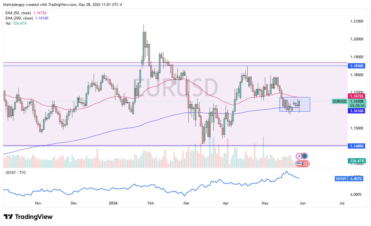 EUR/USD Forecast Today 29/05: Euro Rebounds (Chart)