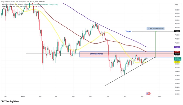 BTC/USD daily chart. Source: TradingView 