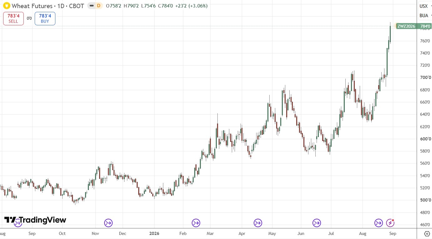 Wheat Futures Daily Price Chart 30/08/2026 Wheat Futures Daily Price Chart 30/08/2026