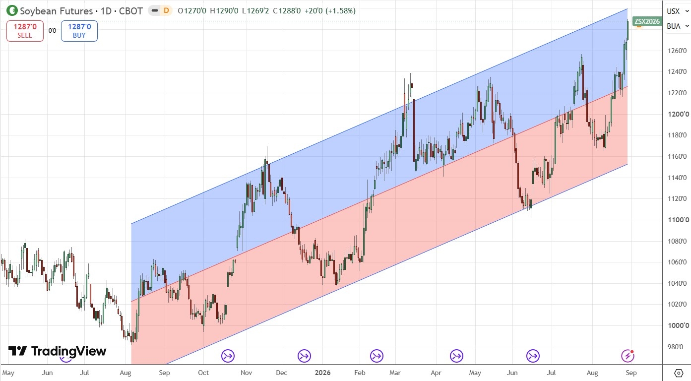 Soybean Futures Daily Price Chart 30/08/2026 Soybean Futures Daily Price Chart 30/08/2026
