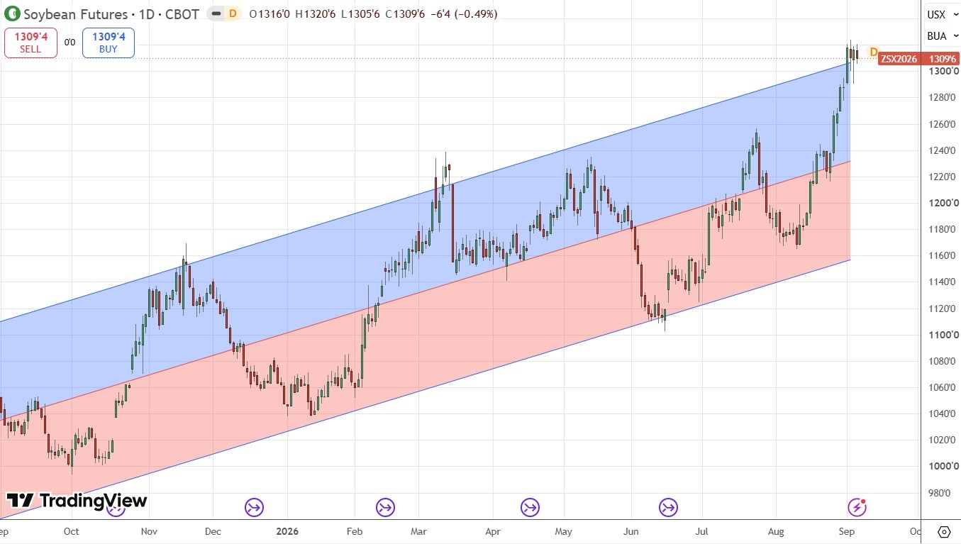 Soybean Futures Daily Price Chart 06/09/2026