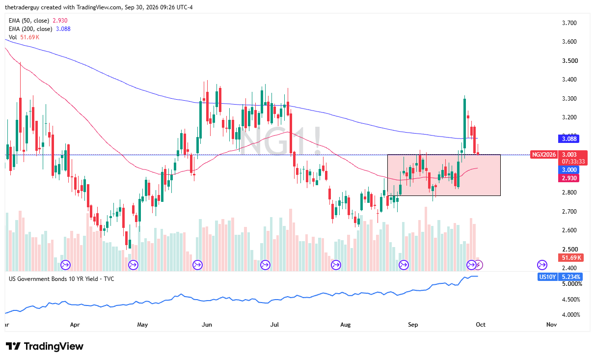 Natural gas price daily chart