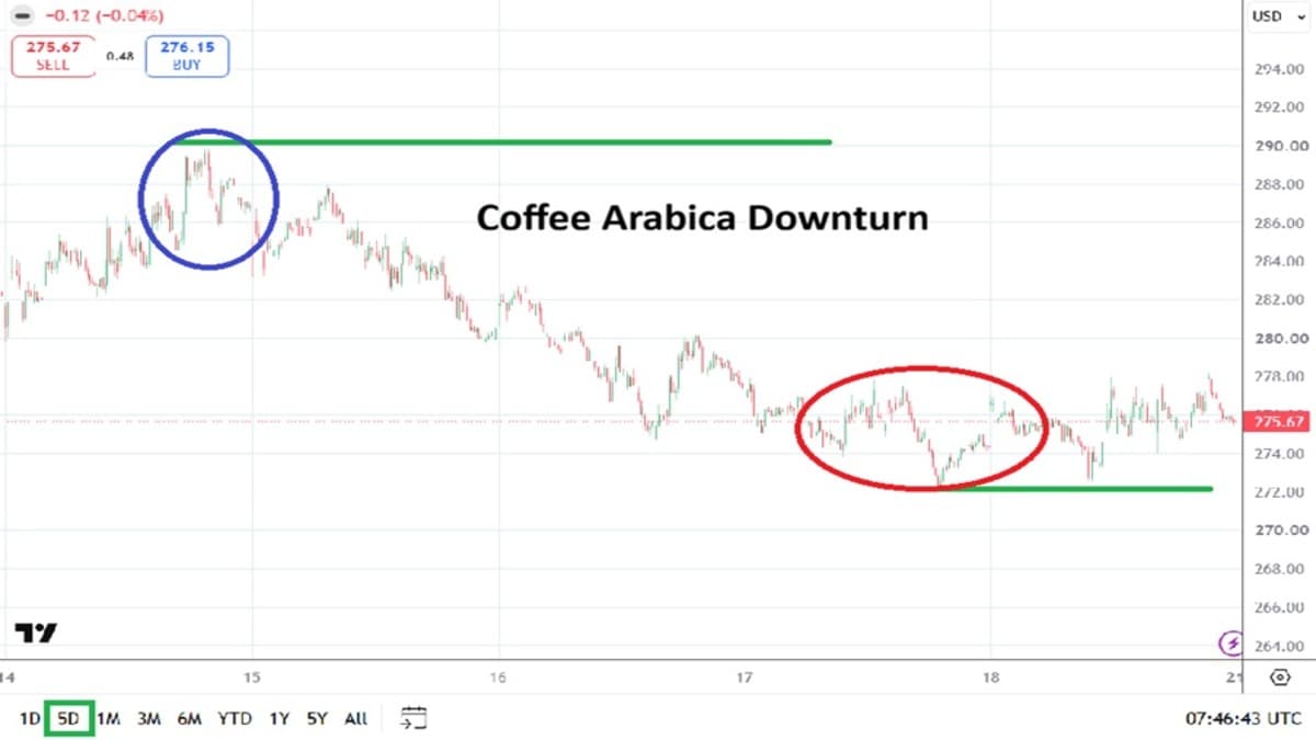coffee-weekly-20260920.jpg image