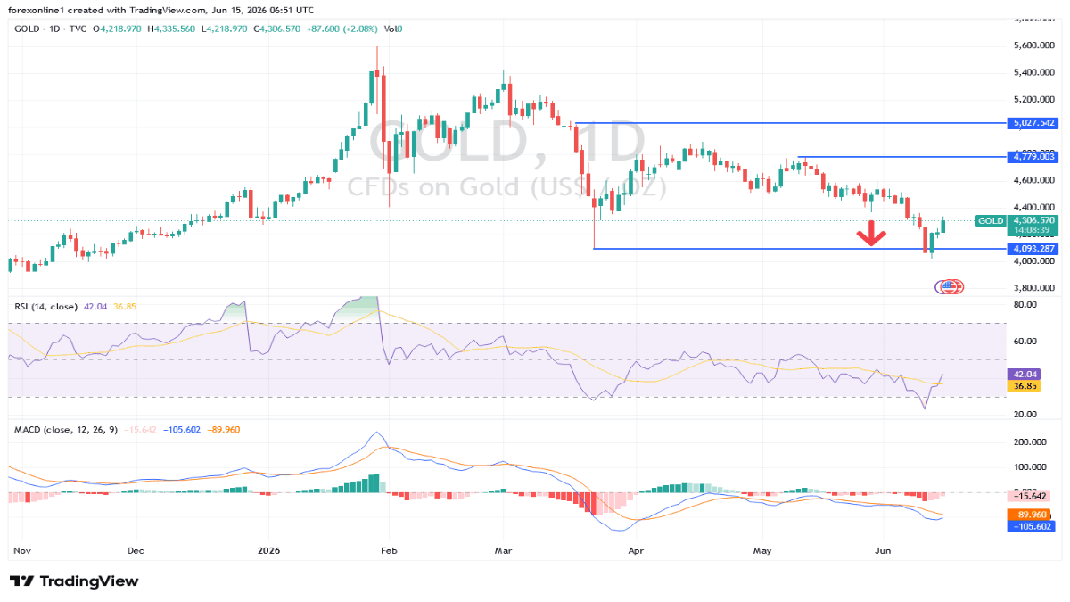 gold_2026-06-15_15_mahmoud.png