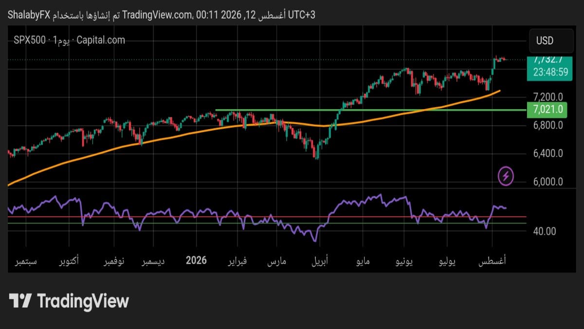 sp-500-120826shalaby.jpg